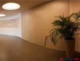 Offices to let in Domus II