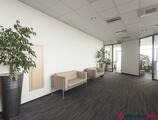 Offices to let in VACARESTI DELTA (Call Center/Show Room/Fitness Club option)