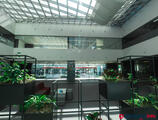 Offices to let in AFI PARK TIMISOARA