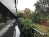 Offices to let in Complexul Work&Home
