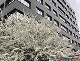 Offices to let in Complexul Work&Home