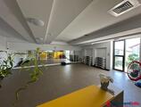 Offices to let in Pipera Sky