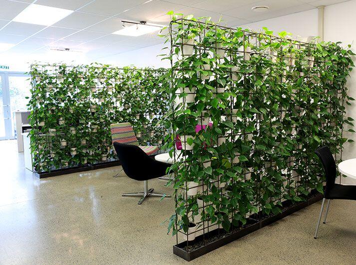 The health and well-being of office buildings occupants