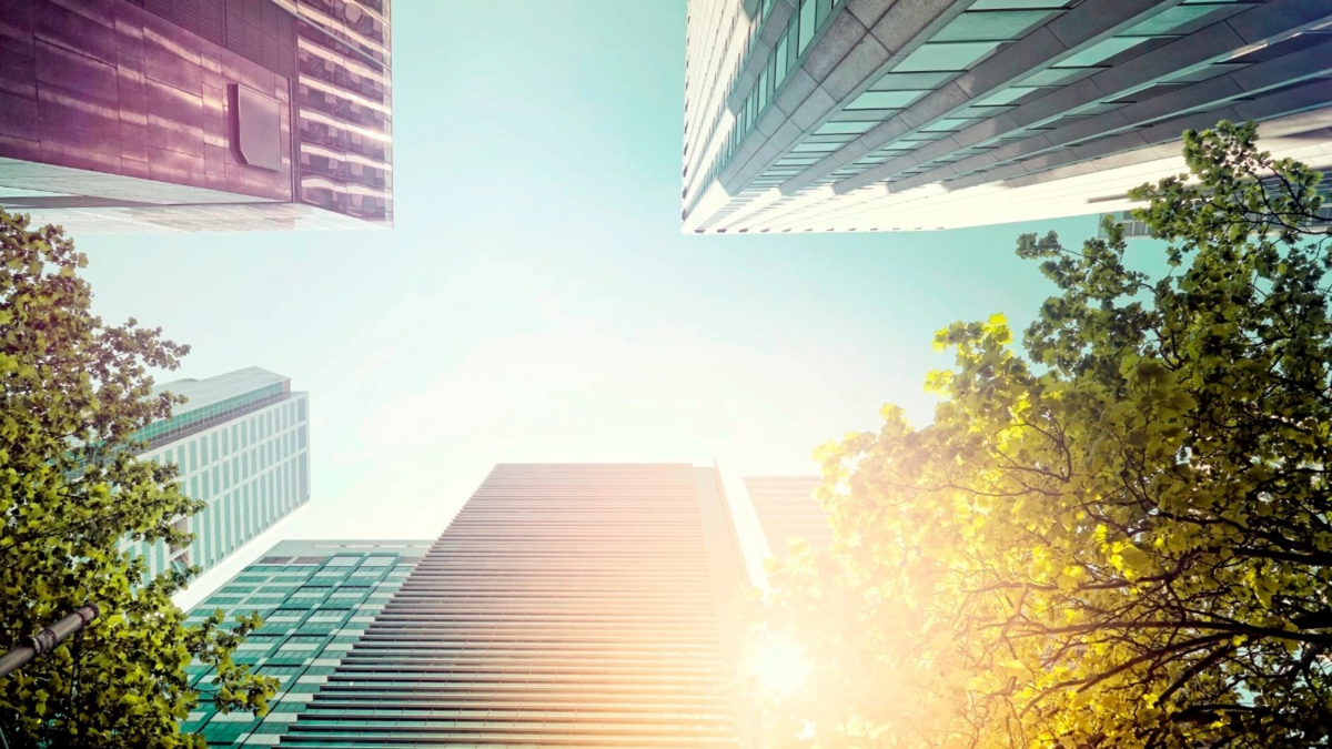 Bucharest, Europe’s new office hotspot: premium spaces at unbeatable costs